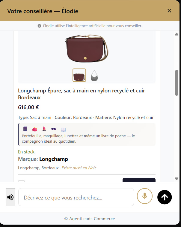 Recommandation Top 3 — AgentLeads Commerce